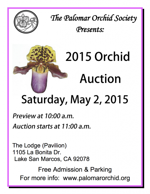 2015 Orchid Auction