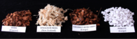 Potting Mixes: ￼A variety of different potting media and mixes can be used to successfully grow orchids. 