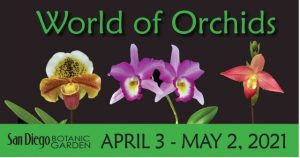 San Diego Botanic Garden – World of Orchids