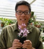 February 2026 – Peter Lin on “Laelia Species and Their Culture”
